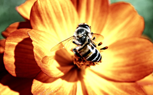 477345 (a): :2560x1600